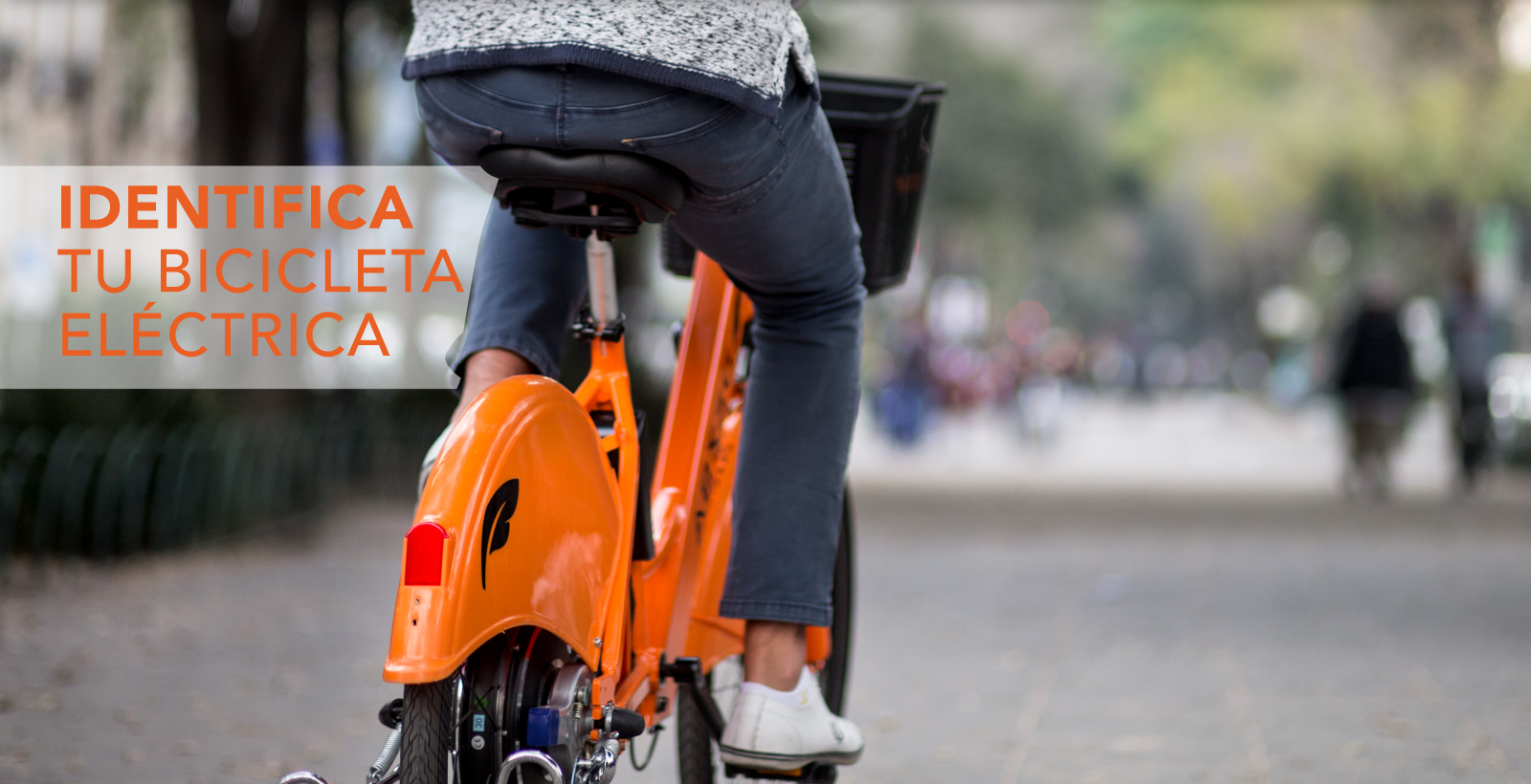 identifica-bici